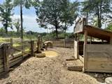 611 Clear Creek Road - Photo 42