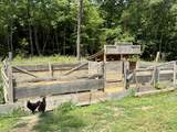 611 Clear Creek Road - Photo 43