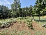 611 Clear Creek Road - Photo 50