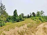 169 County Road 188 - Photo 11