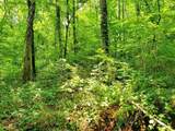 169 County Road 188 - Photo 16
