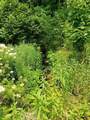 169 County Road 188 - Photo 20