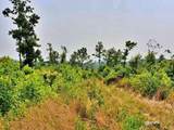 169 County Road 188 - Photo 22