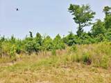 169 County Road 188 - Photo 6