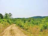 169 County Road 188 - Photo 9
