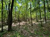 Lot 3 Highway 304 - Photo 28