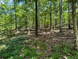 Lot 3 Highway 304 - Photo 32