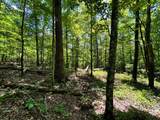 Lot 3 Highway 304 - Photo 33