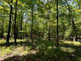 Lot 3 Highway 304 - Photo 34