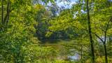 0 Eagle Point Drive Lot 8 - Photo 3