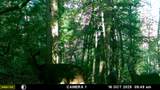 227 Mcallister Road - Photo 22
