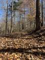 15634 Old State Hwy 28 - Photo 27