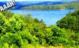 Lot 406 Flint Ridge Road - Photo 1