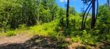 5.21 Acres Browns Holler Road - Photo 7