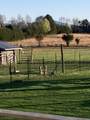 338 County Road 435 - Photo 40