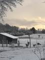 338 County Road 435 - Photo 52
