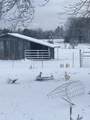 338 County Road 435 - Photo 55