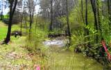 Lot 35 Watauga Lane - Photo 4