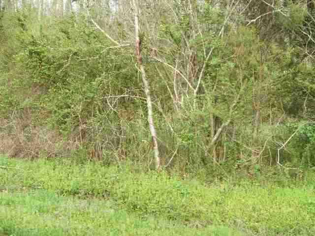Lot #2 Smyrna Road - Photo 1