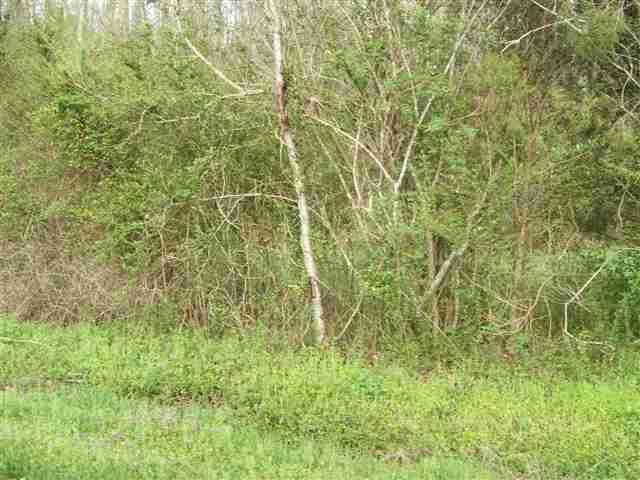 Lot #6 Smyrna Road - Photo 1