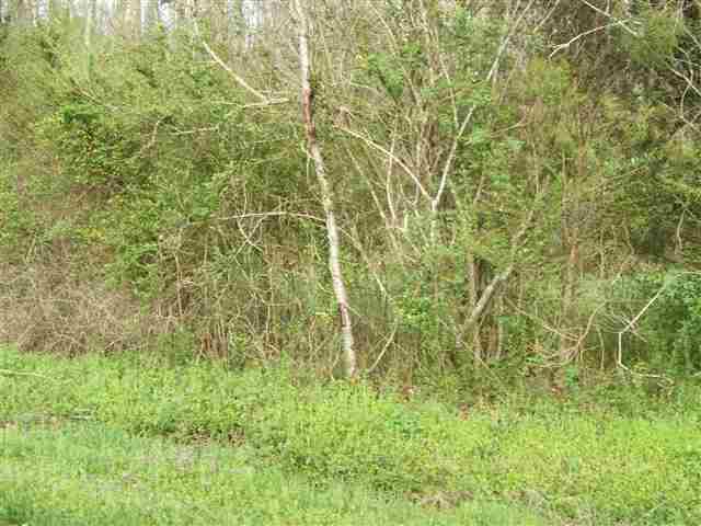 Lot #3 Smyrna Road - Photo 1