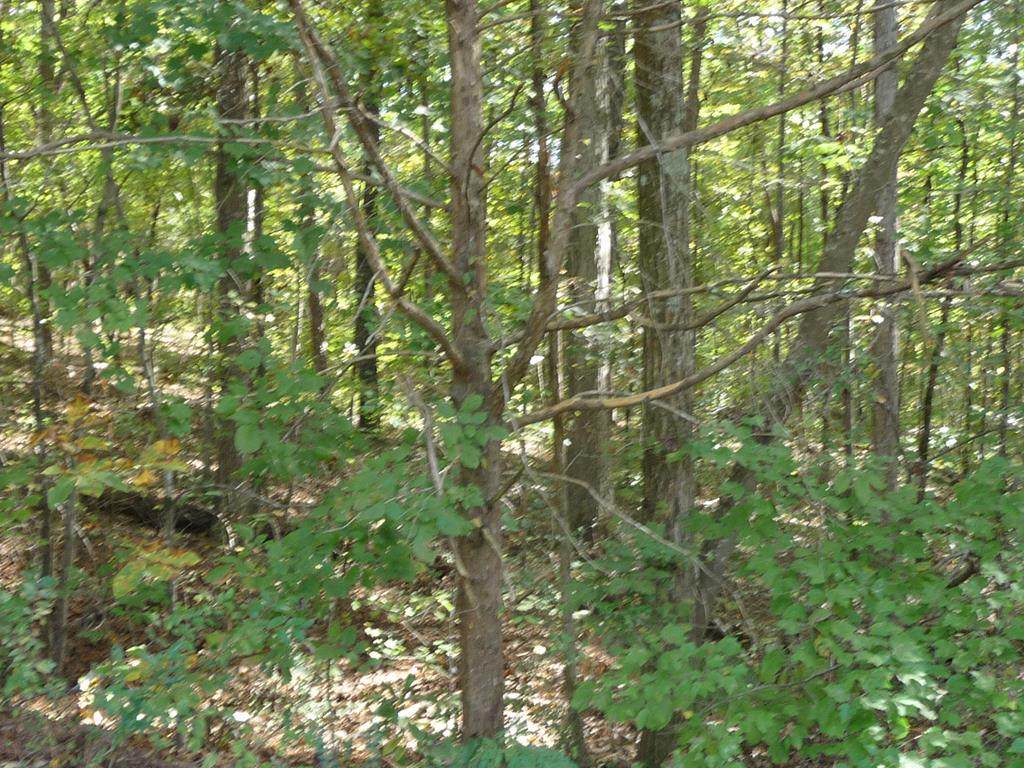 Lot 11 Ridge Point Drive Nw - Photo 1