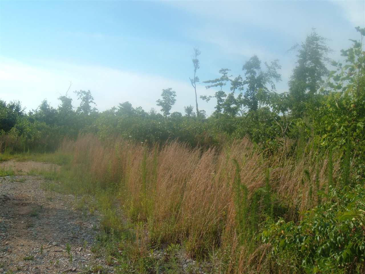 Reed - Photo 1 Reed - Photo 1