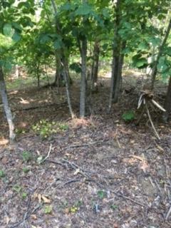 lot 656 Rockview Drive - Photo 1