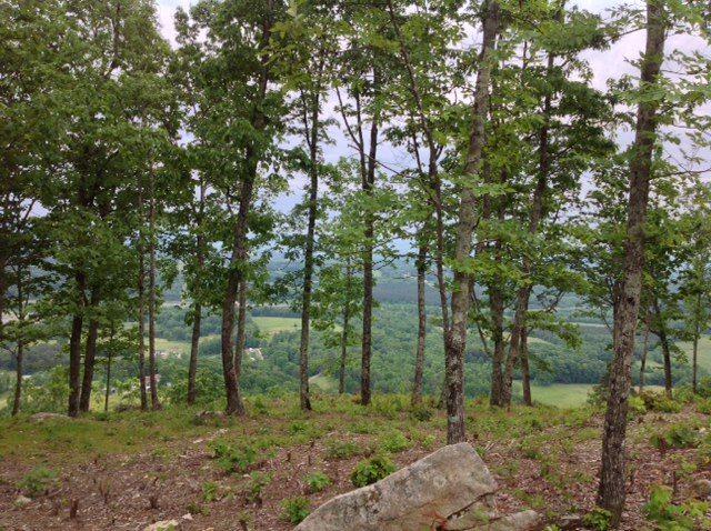 1177 Escape Drive - Photo 1