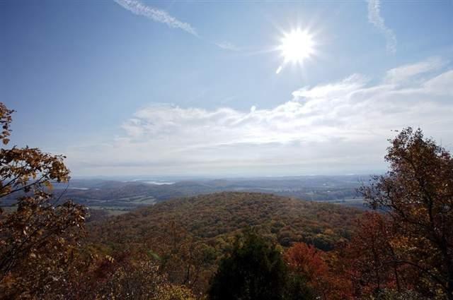 1296 Black Bear Trail - Photo 1