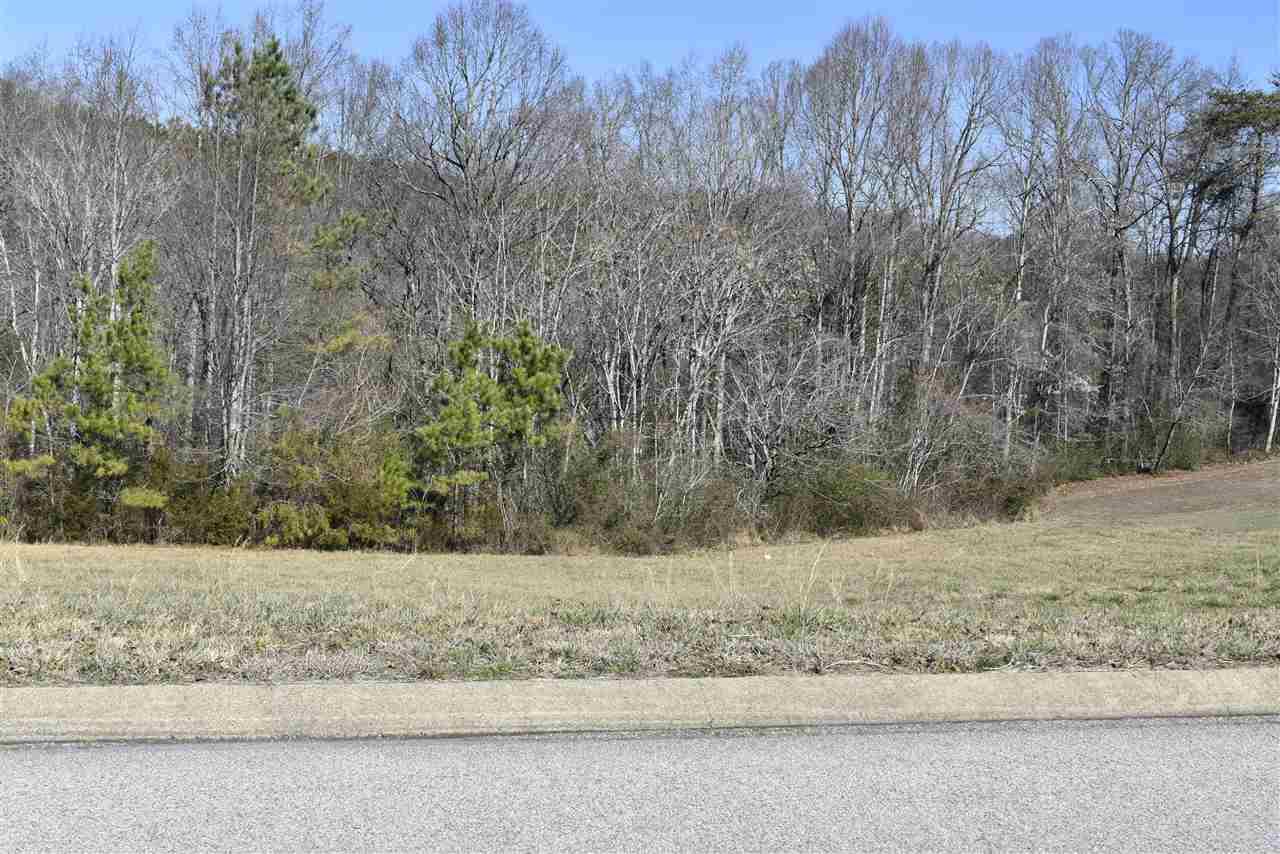 00 County Road 321 Lot 7 - Photo 1