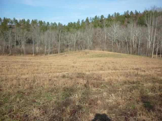 lot 4 Mill Drive - Photo 1