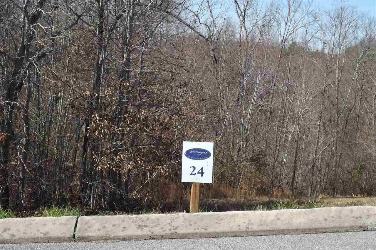 lot 24 Hidden Forest Trail - Photo 1
