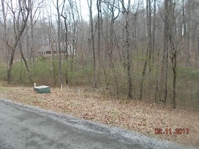 296 County Road 263 - Photo 1