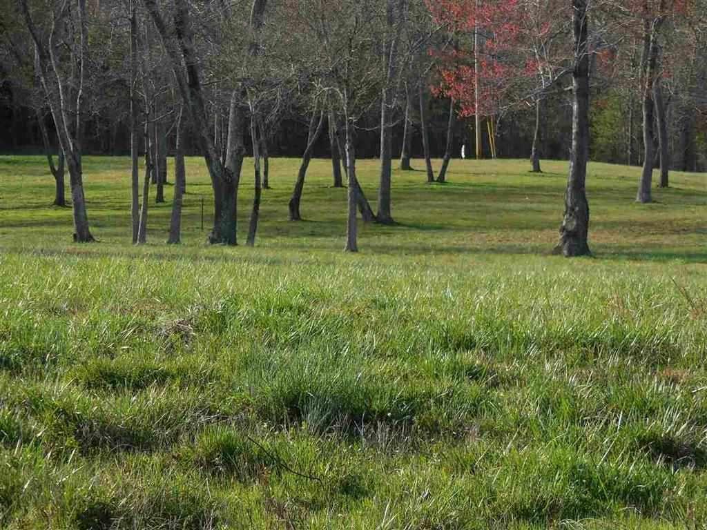 Lots 13-16 Royal Crest Drive - Photo 1