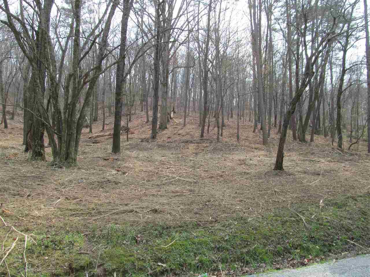 7650 Nelson Spur Road - Photo 1