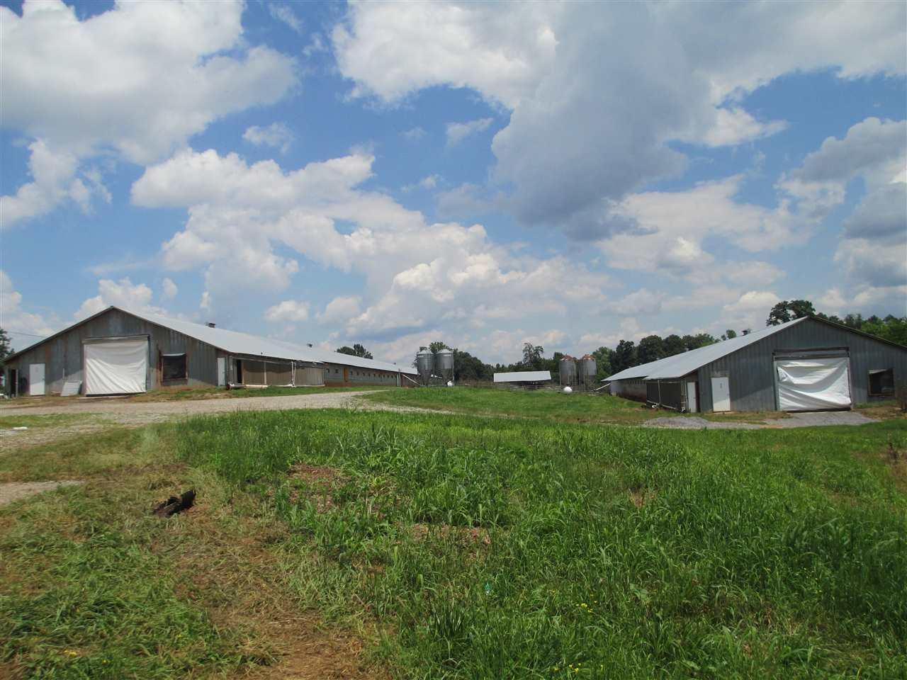 1696 Swan Road - Photo 1