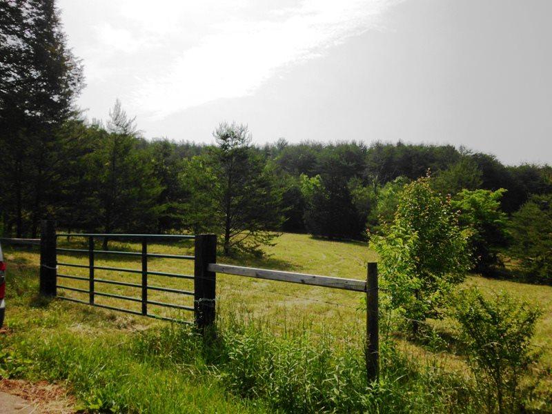Lot 13 Curtis Road - Photo 1