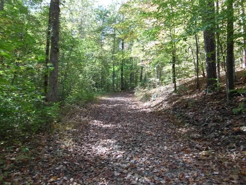 Smokey Run Road - Photo 1