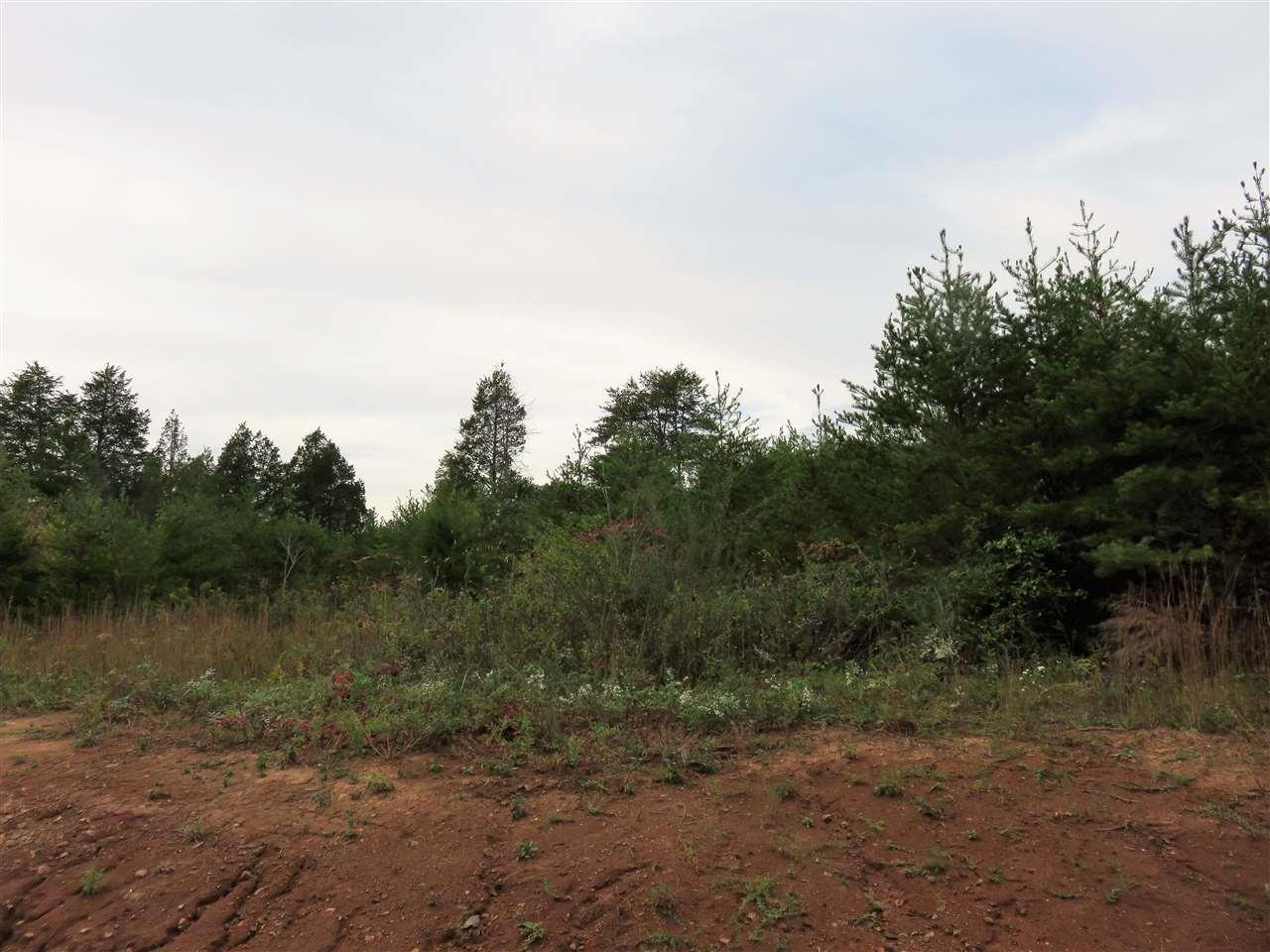 Lot 14 Ten Mile Lane - Photo 1