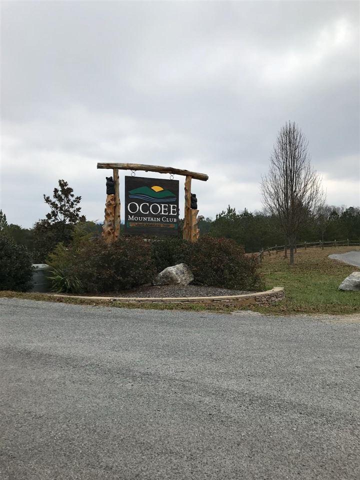 Lot 222 & 223 Timber Ridge Circle - Photo 1