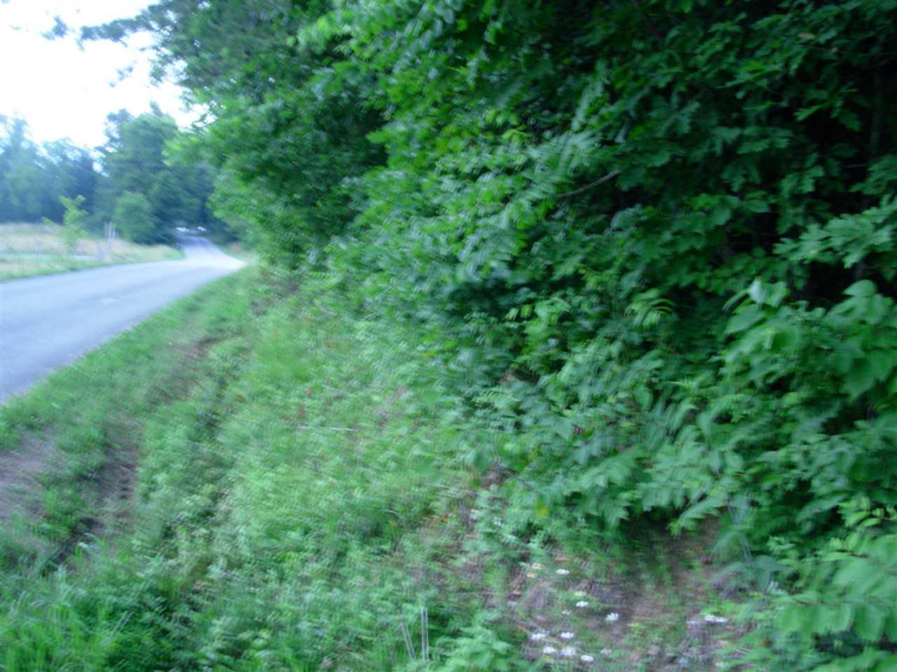 1399A Dry Fork Valley Road - Photo 1 1399A Dry Fork Valley Road - Photo 1