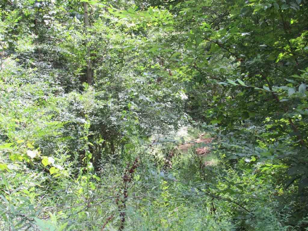 Sands Road - Photo 1