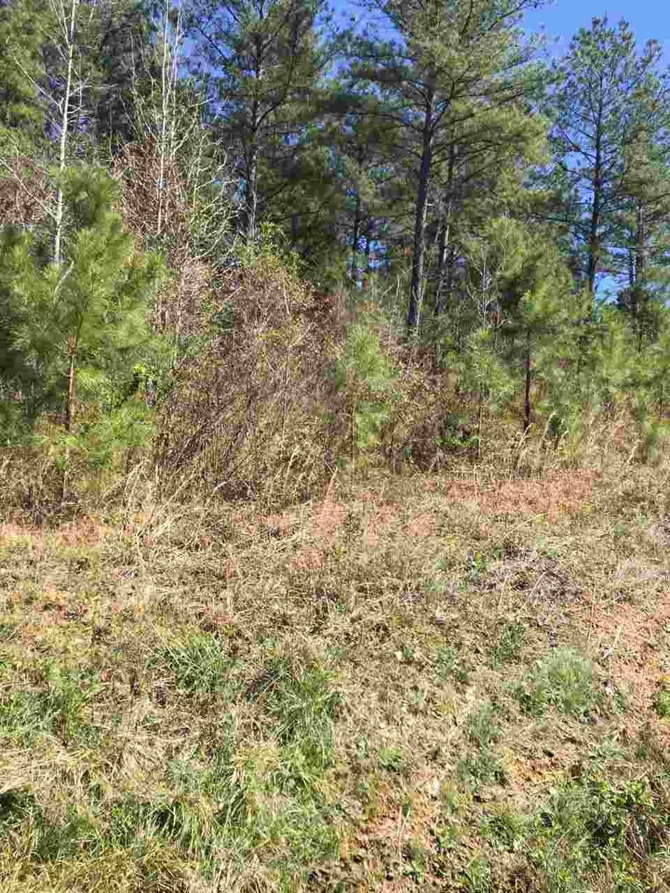 00 Old Parksville Rd - Photo 1