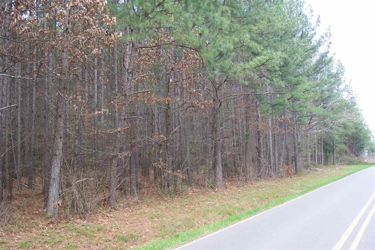 5 Acres County Road 298 - Photo 1