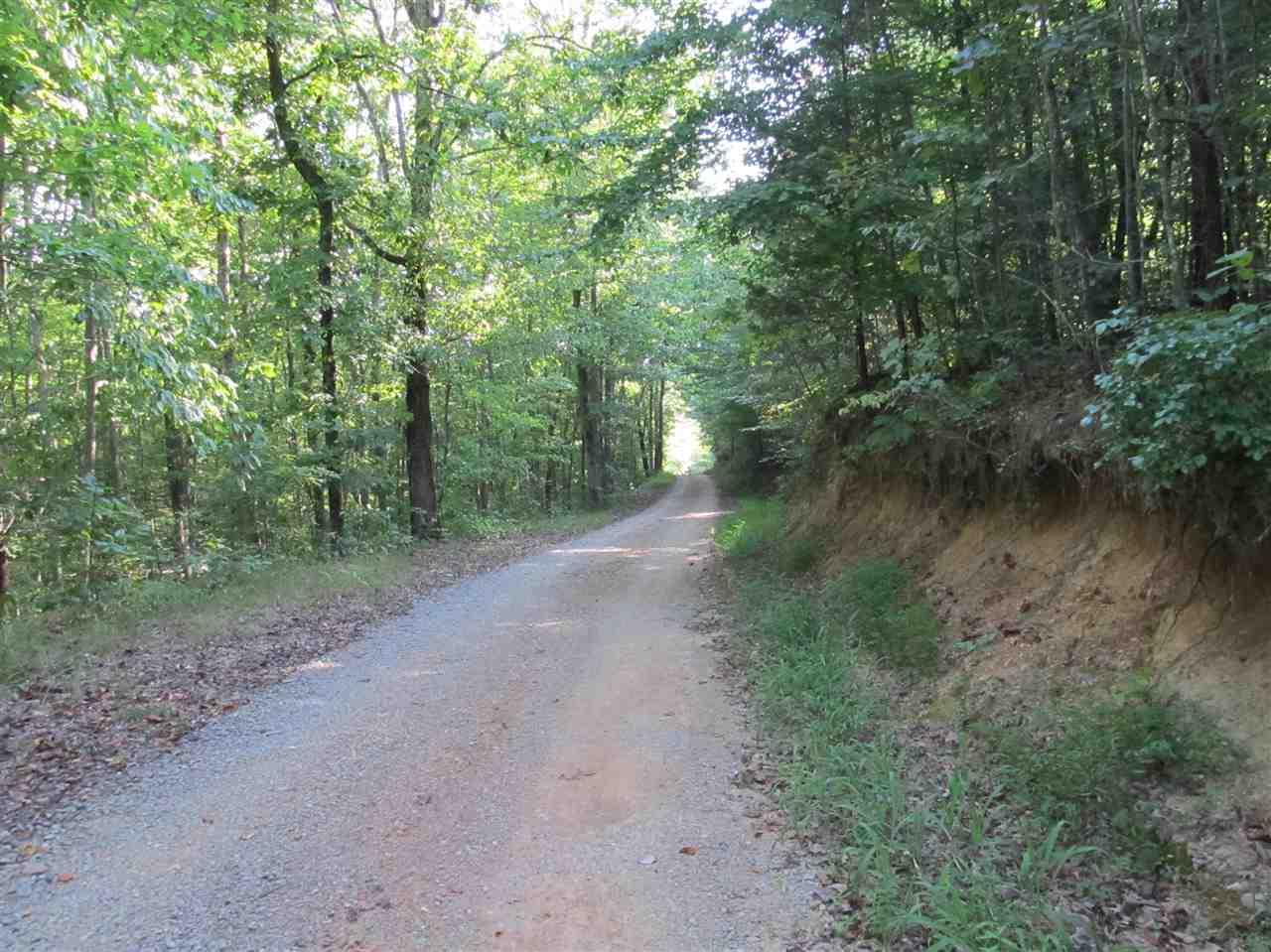 17.15 Ac. County Road 87 - Photo 1