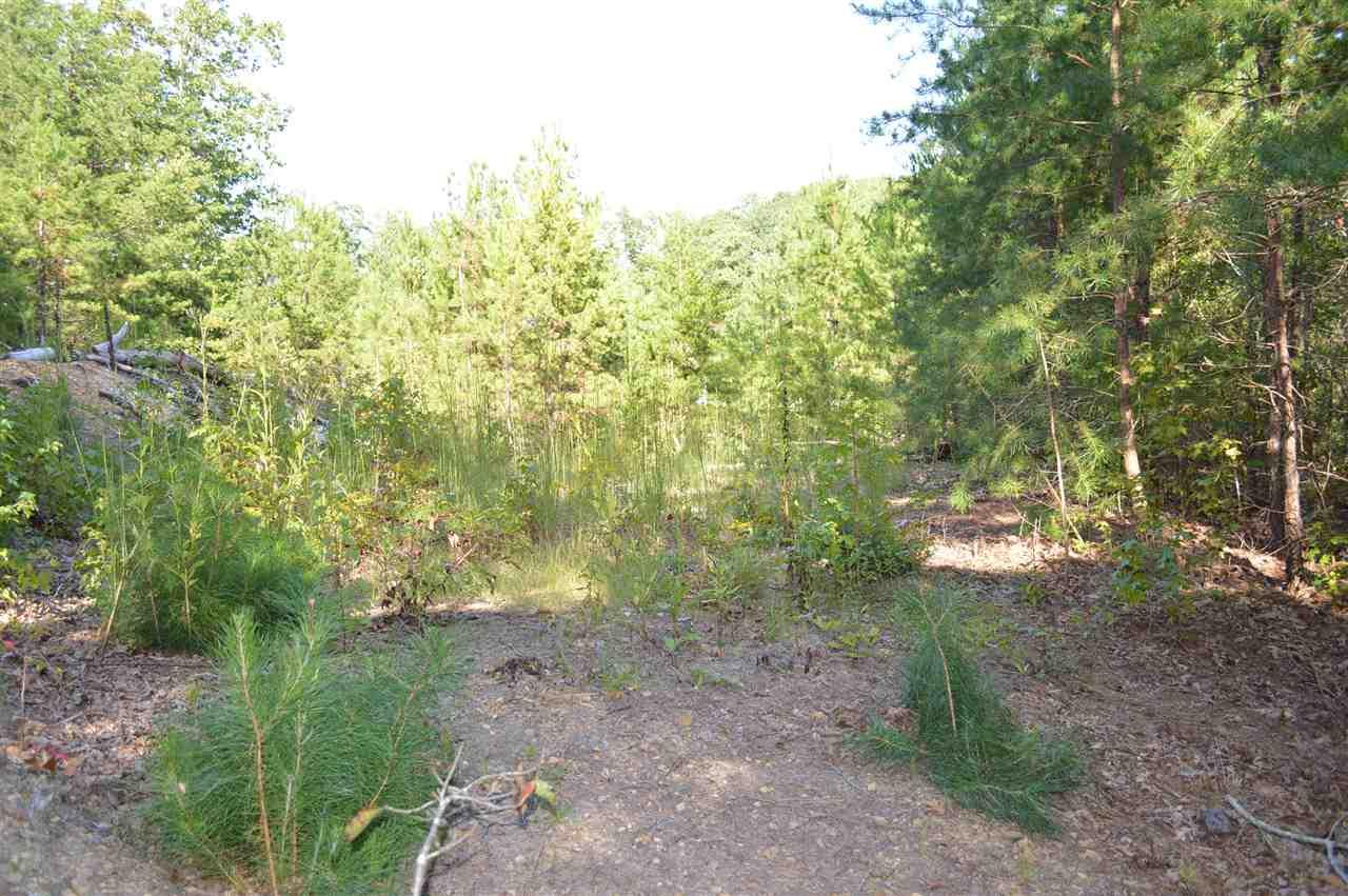 Lot 47 &48 Mcclanahan - Photo 1