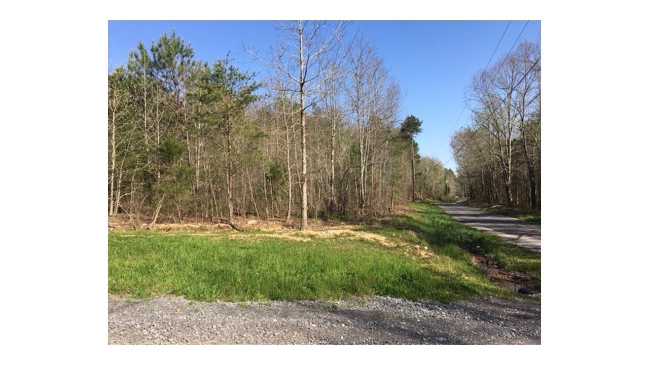 000 County Road 82 - Photo 1