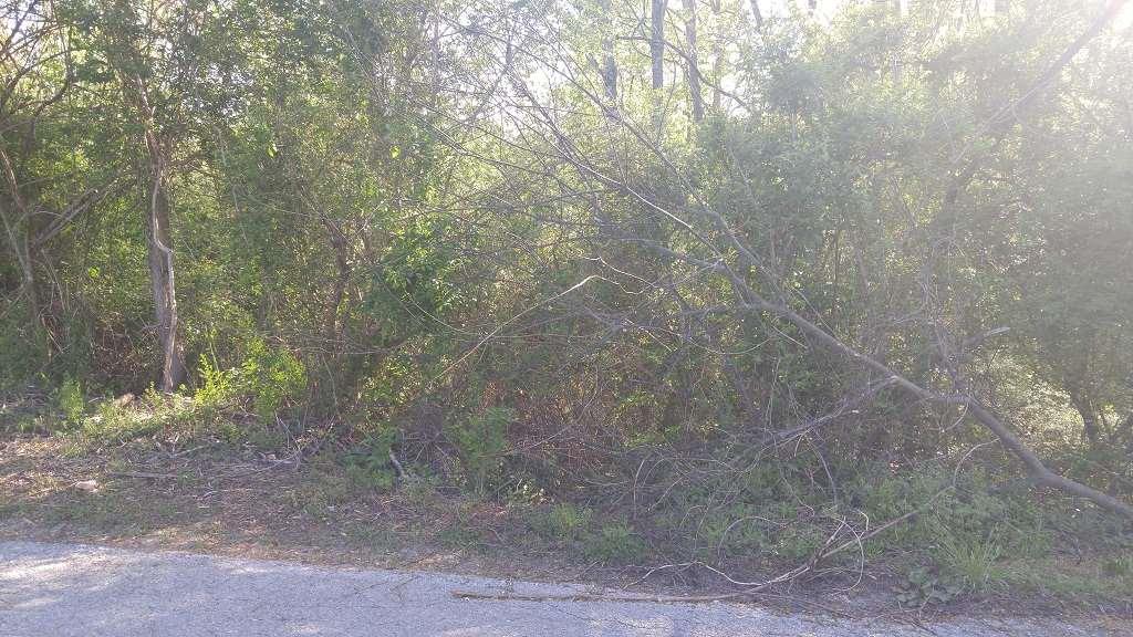Lot 47 Ashley Lane - Photo 1