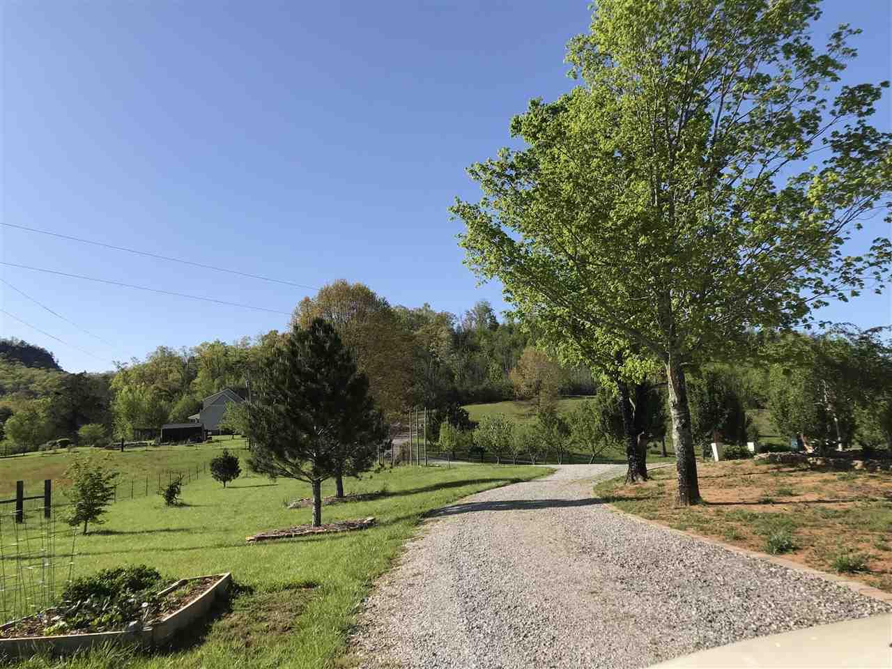 425 Harve Lewis Rd - Photo 1